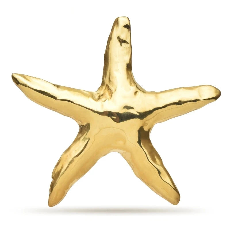 Polished Starfish Stainless Steel Brooch