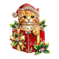 Christmas Kitten in Gift Box Brooch original white background product photo