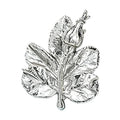 Brooch Paradise original white background product photo
