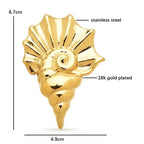 Polished Ridged Conch Shell Brooch — dimensions
