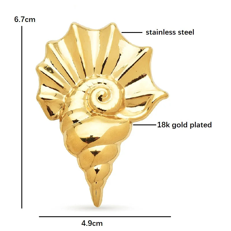 Polished Ridged Conch Shell Brooch — dimensions