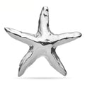 Polished Starfish Stainless Steel Brooch — Silver