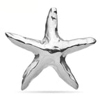 Polished Starfish Stainless Steel Brooch — Silver
