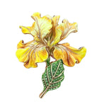 Graceful Iris Flower Stem Brooch original white background variant photo