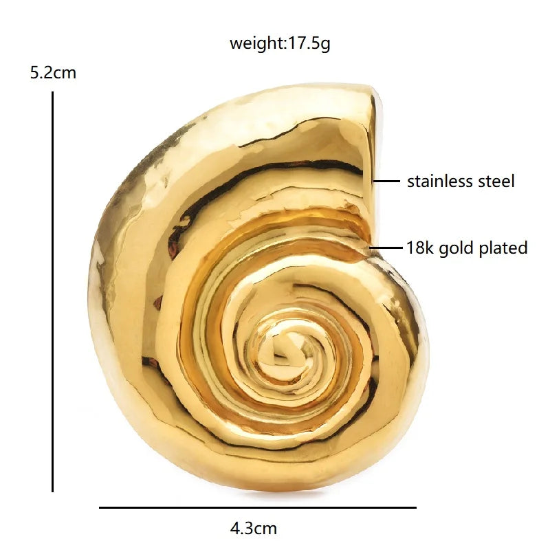 Polished Spiral Seashell Brooch — dimensions