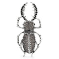 Large Jeweled Beetle Brooch — Black