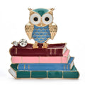 Enamel Owl on a Stack of Books Brooch — Blue