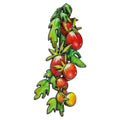Cherry Tomato Vine Brooch original white background product photo