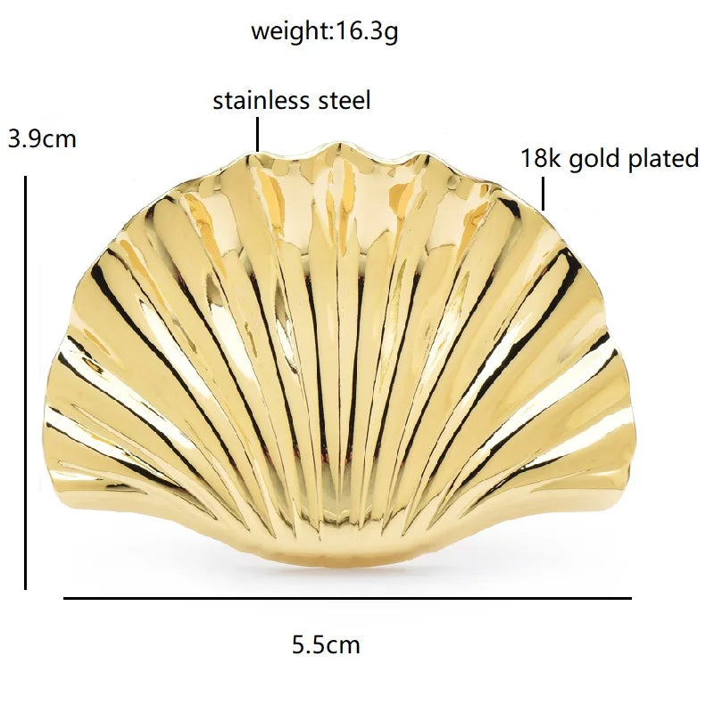 Polished Scallop Shell Brooch — dimensions