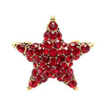 Pave Rhinestone Five Point Star Brooch original white background product photo
