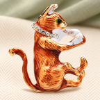 Orange Cat Grooming Its Paw Brooch — styled background