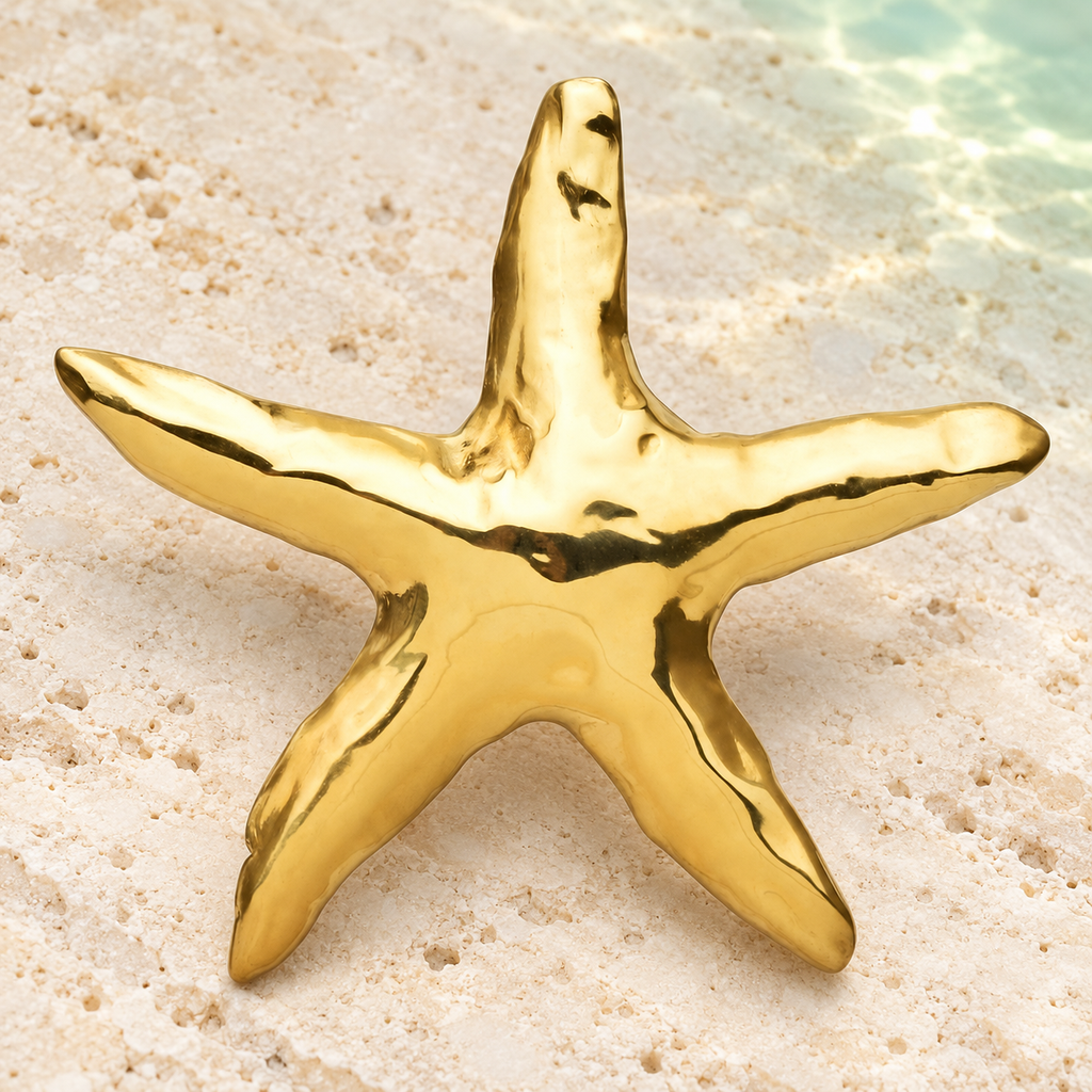 Polished Starfish Stainless Steel Brooch — styled background