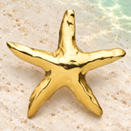 Polished Starfish Stainless Steel Brooch — styled background