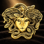 Vintage Medusa Head Brooch — styled background